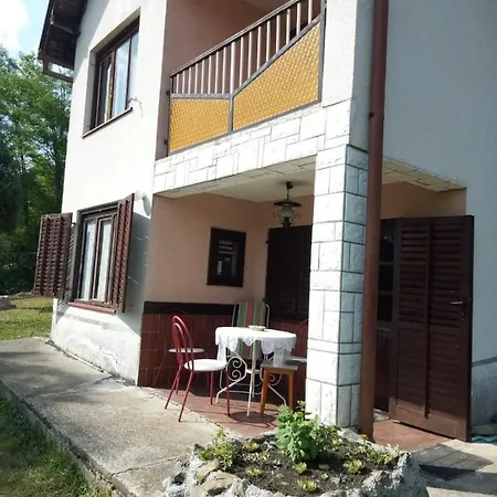 Borova Tara *