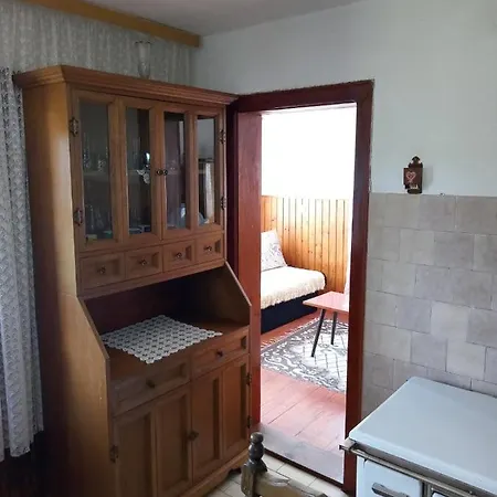 Borova Tara 度假居