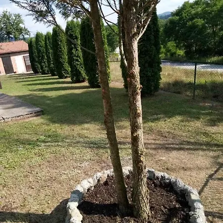 Borova Tara 度假居 Kremna