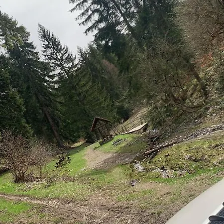 Borova Tara * Kremna