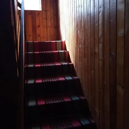 Borova Tara 度假居