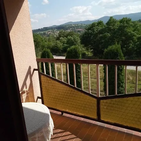 Borova Tara Holiday home Kremna